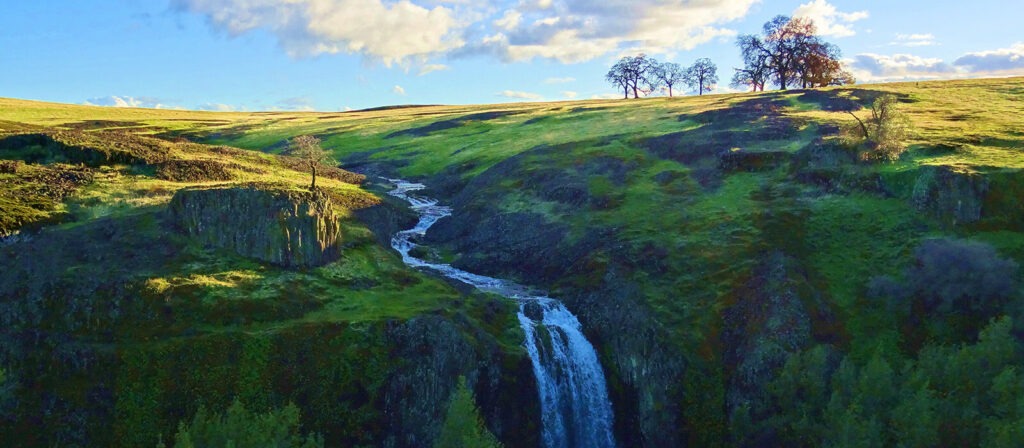 Plush meadow with stream running through the middle, with trees in the distance under a blue sky with sublte clouds